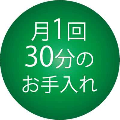 月1回30分のお手入れ